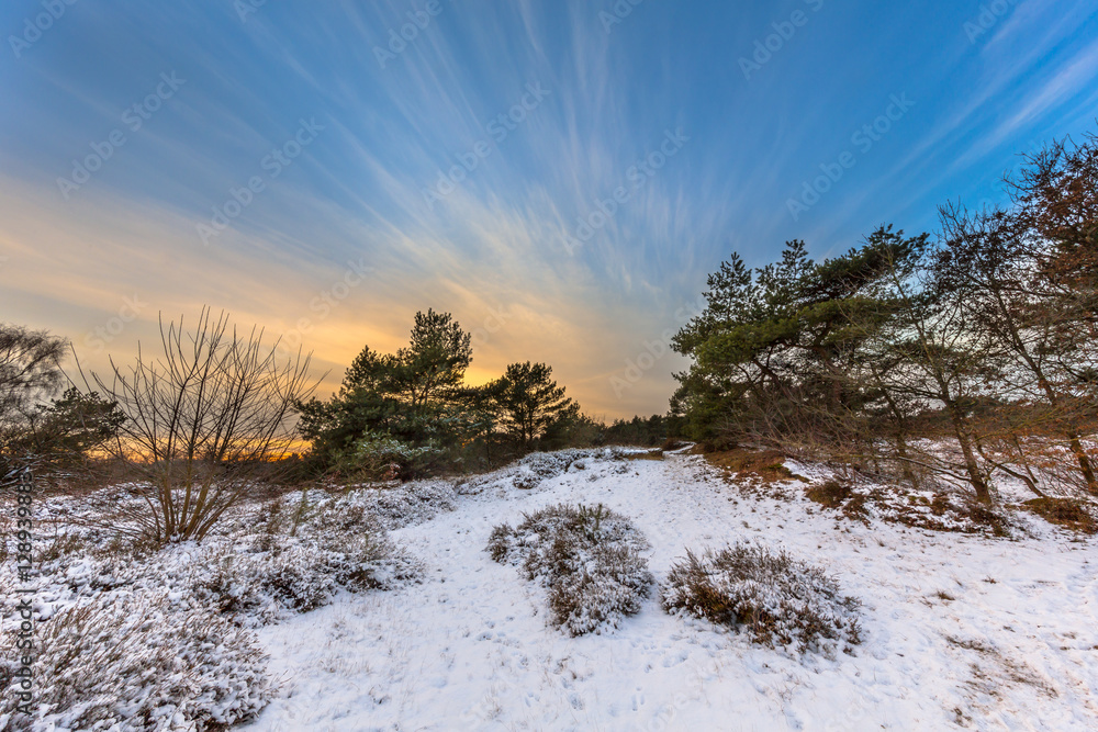 Winter landscape with thin layer of snow Winter landscape with thin layer of snow