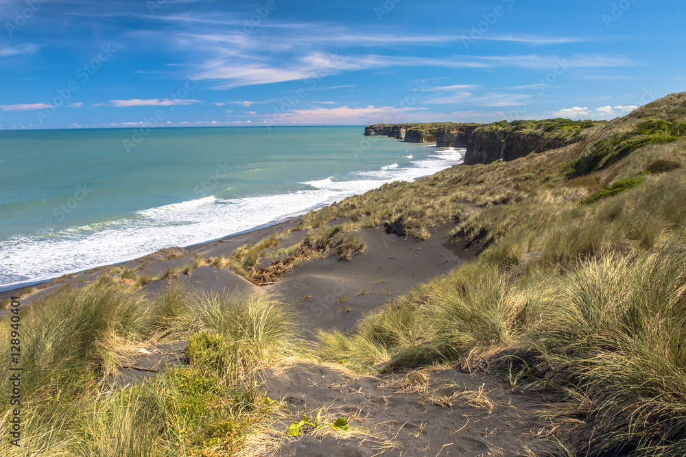 Dunes and Black Sand Beach near New Plymouth, New Zealand Dunes and Black Sand Beach near New Plymouth, New Zealand