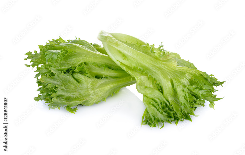 fresh green lettuce on white background fresh green lettuce on white background