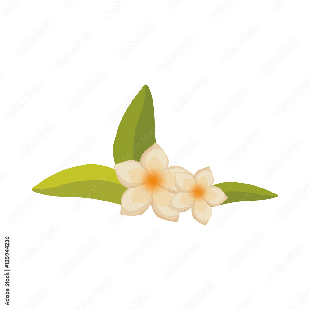 beautiful natural flower icon vector illustration graphic design