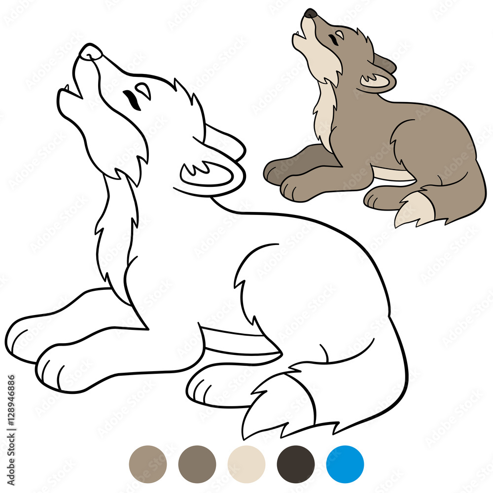 Naklejka premium Color me: wolf. Little cute baby wolf howling.