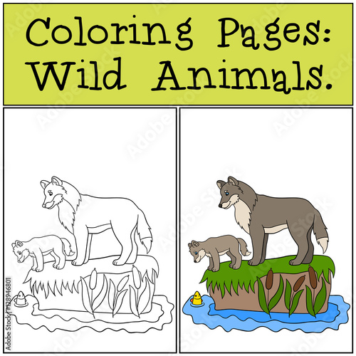Coloring Pages: Wild Animals. Father wolf with his little baby.
