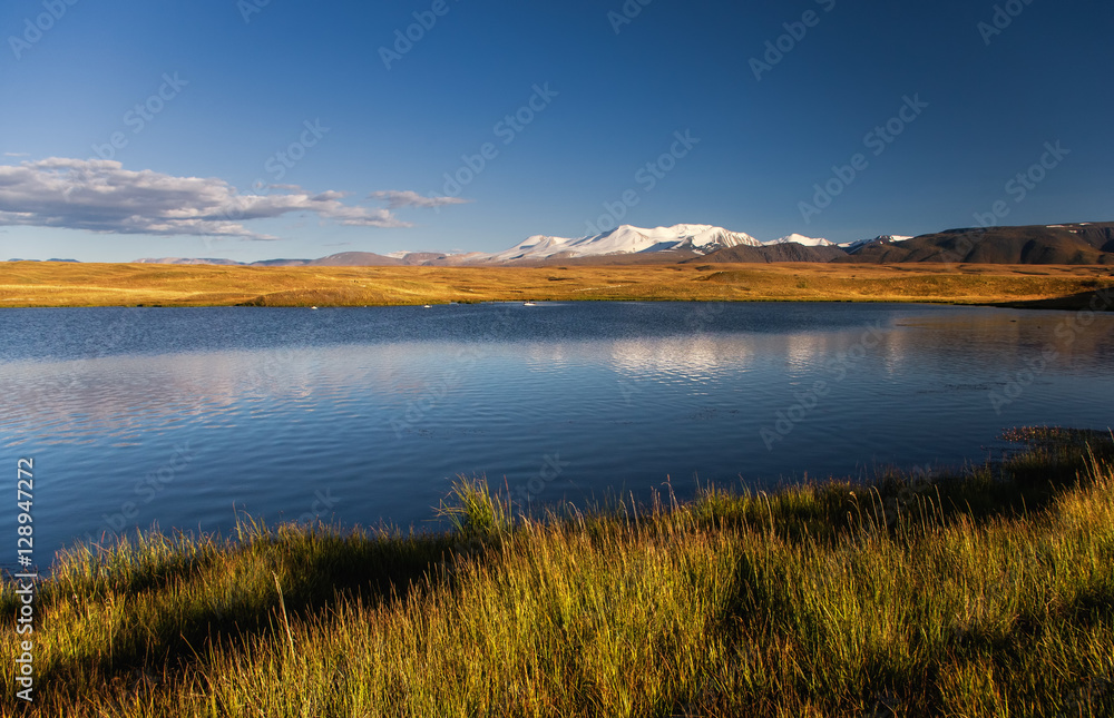 Highland steppe shore of a deep blue lake with yellow grass on the background of white snowcapped high ice snow mountain peaks with glaciers under clear blue sky Plateau Ukok Altai Siberia Russia Highland steppe shore of a deep blue lake with yellow grass on the background of white snowcapped high ice snow mountain peaks with glaciers under clear blue sky Plateau Ukok Altai Siberia Russia