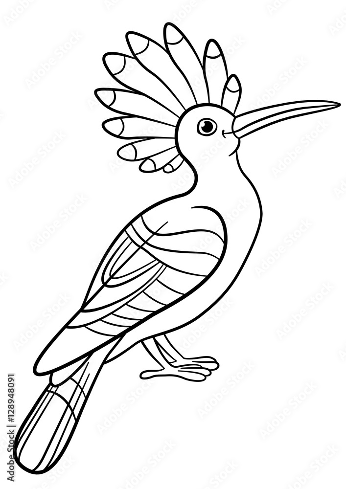 Fototapeta premium Coloring pages. Cute beautiful hoopoe sits.