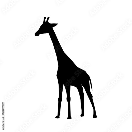 giraffe african animal icon vector illustration graphic design