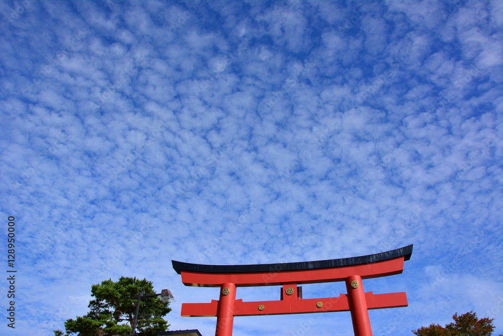 mountain,skyscraper,tree,views,garden,flowers,buddha. mountain,skyscraper,tree,views,garden,flowers,buddha.