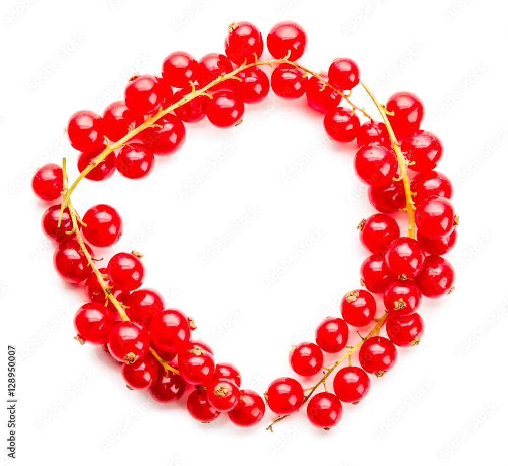 Red Currant close up Red Currant close up