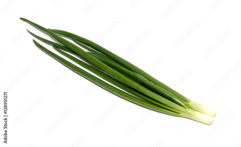 Green onion isolated on white background Green onion isolated on white background