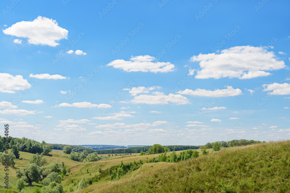 landscape with forest, sky with clouds, hills and ravines