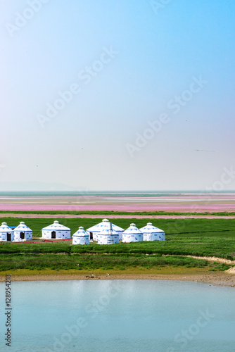 Grassland,  Mongolia package,Inner Mongolia, china photo