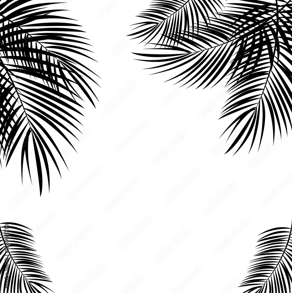 Fototapeta premium Czarny Palmowy liść na Białym tle. Ilustracja wektorowa.