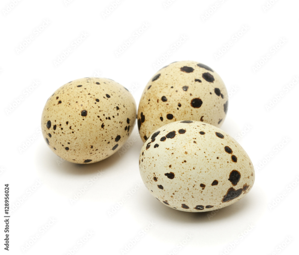 Quail egg isolated on white background Quail egg isolated on white background