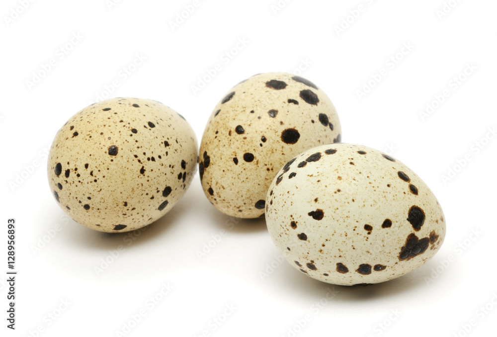 Obraz premium Quail eggs isolated on white background