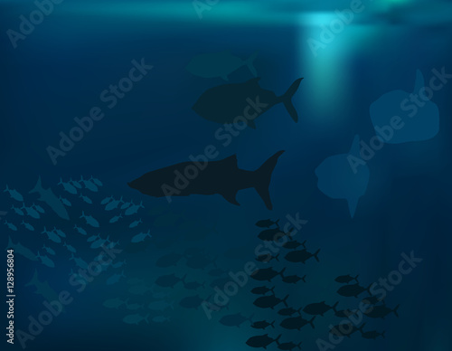 Fototapeta Naklejka Na Ścianę i Meble -  dark fishes silhouettes in blue water
