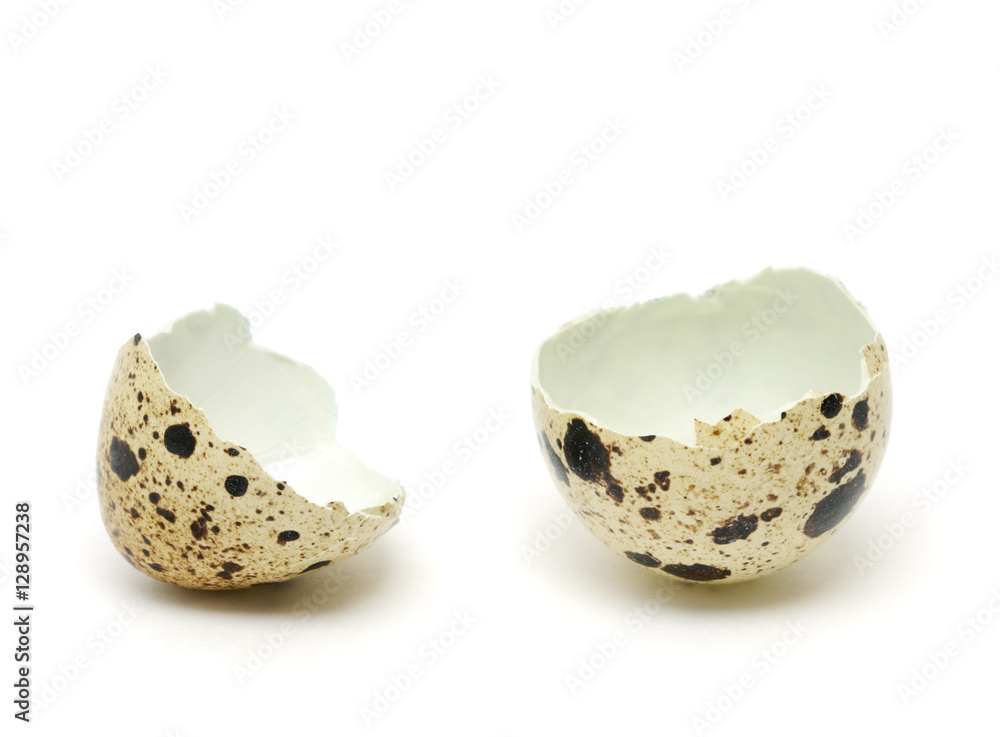 Quail eggshell isolated on white background Quail eggshell isolated on white background