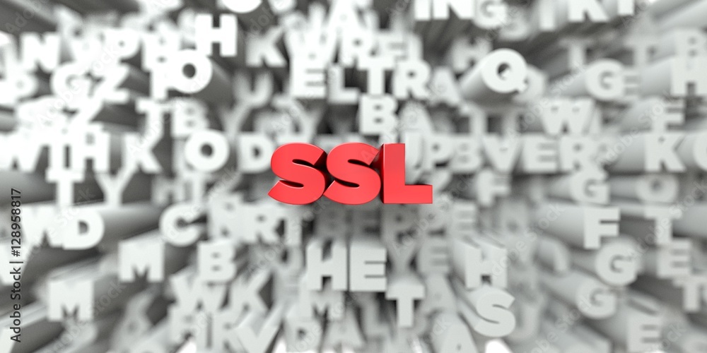 SSL - Red text on typography background - 3D rendered royalty free stock image. This image can be used for an online website banner ad or a print postcard. SSL - Red text on typography background - 3D rendered royalty free stock image. This image can be used for an online website banner ad or a print postcard.