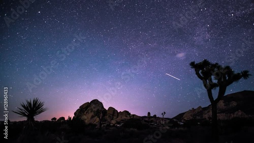 Joshua Tree Night Sky Desert Landscape
