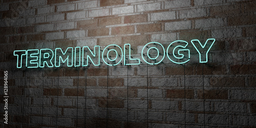 Fotografie TERMINOLOGY - Glowing Neon Sign on stonework wall - 3D rendered royalty free stock illustration