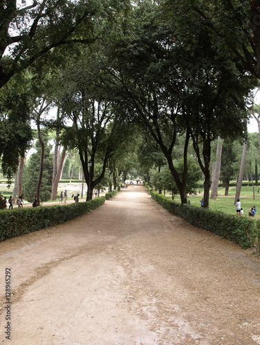 Fototapeta Naklejka Na Ścianę i Meble -  Walking route of the Villa Borghese Gardens Park . Rome, Italy