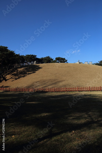 Jeongneung,king jungjong royal tomb,seolleung,world heritage,korea photo