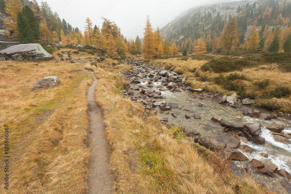 walking at fall in a cloudy day next to a mountain stream