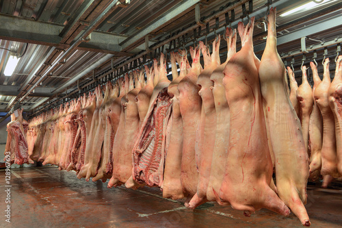 Carcasses of pork hanging from hooks in the cold store.