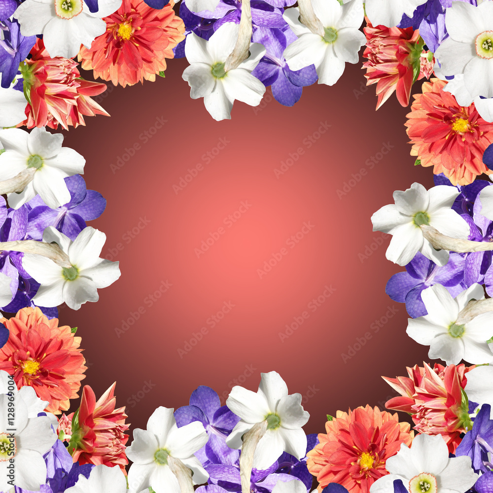 Beautiful floral background of daffodils, dahlias and orchids Vanda 