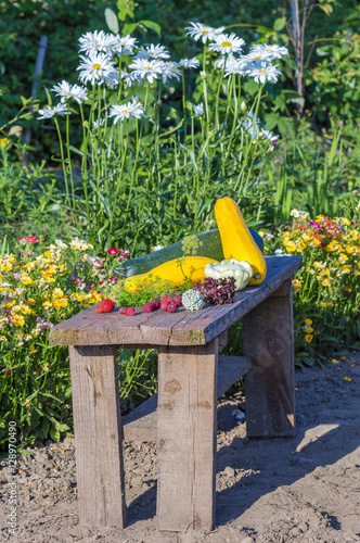 fruits and vegetables on a wooden table harvested from the garde