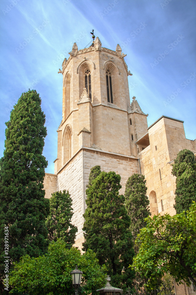 Fototapeta premium Cathédrale Sainte Thècle, Tarragone, Catalogne, Espagne