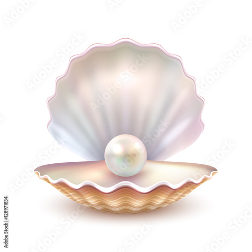 Pearl Shell Realistic Close Up Image  photo