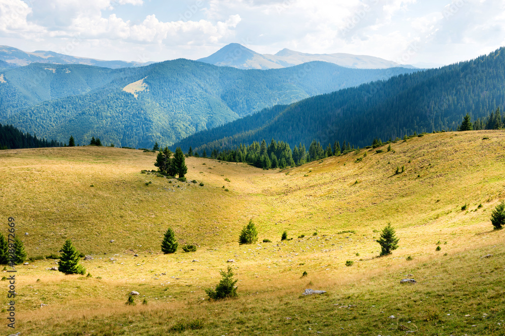 Yellow hills with trees and sunlight spots