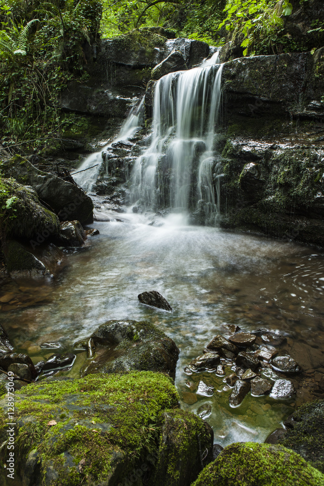 Fototapeta premium Cascada