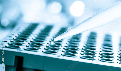 Obraz na płótnie 96 well plate for PCR processing, microbiological laboratory