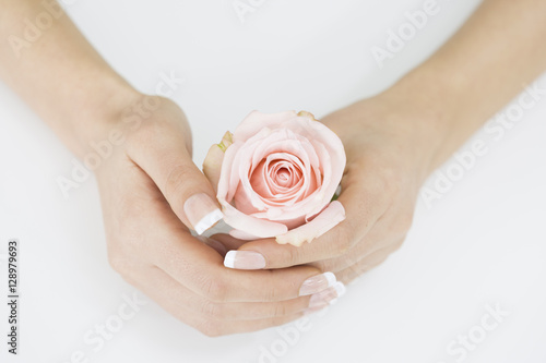 Pink rose in woman hands