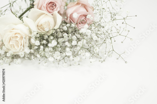 Beautiful white and pink roses on white background