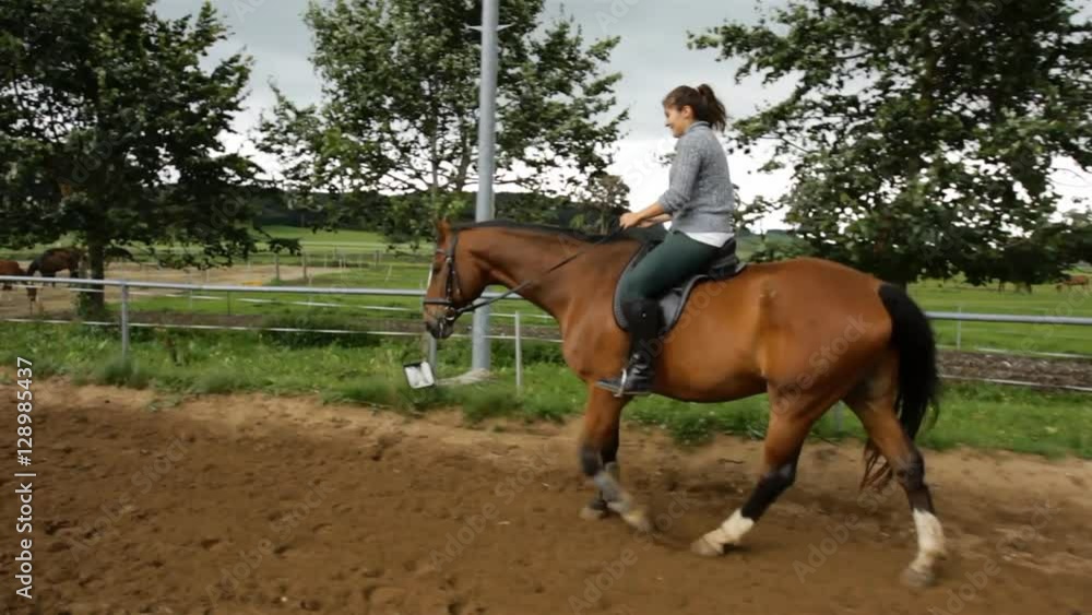 young girl riding a brown horse young girl riding a brown horse