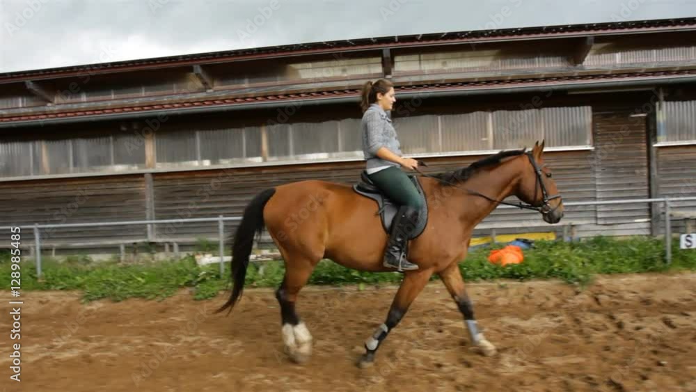 young girl riding on a brown horse. steadycam shot young girl riding on a brown horse. steadycam shot