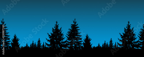 Silhouette of coniferous trees on the background of night sky.