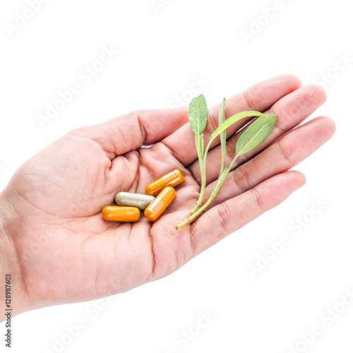 Alternative health care and herbal medicine . Close Up fresh fre