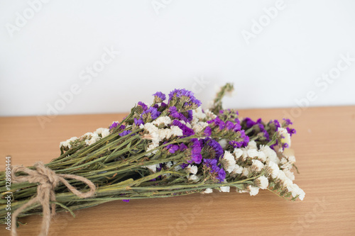 Dried flower on old white background.