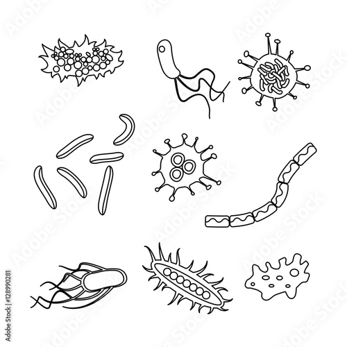 different bacteria types