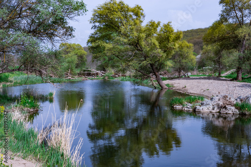 Spring landscape of Mirror Tree river