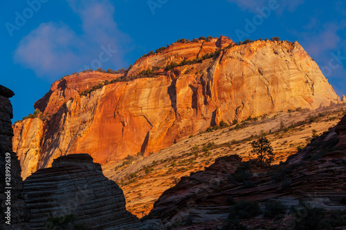 Zion at sunset