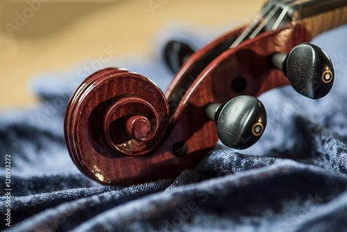 violin snail head on blue velvet photo