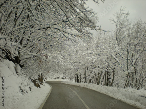 Strada innevatae alberi ricoperti di neve  al sud Italia  photo