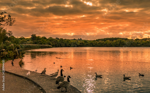 sunset