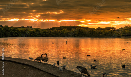 sunset