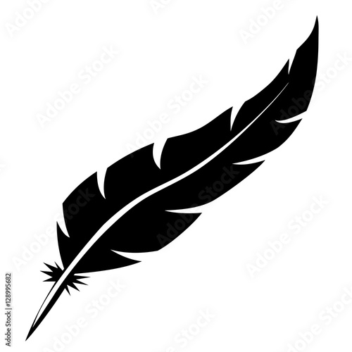 Blank bird feather vector shape isolated on white background.