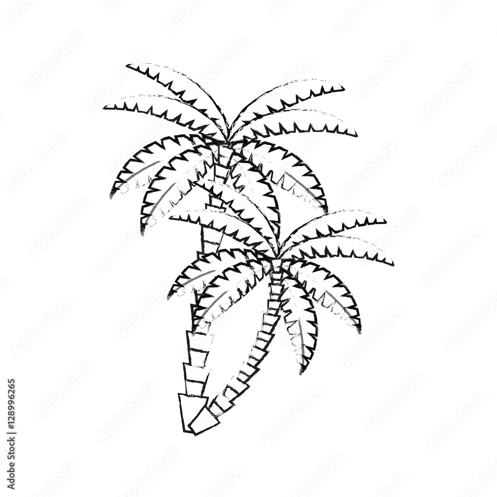 Obraz premium Palm tree icon. Nature plant and summer season theme. Isolated design. Vector illustration