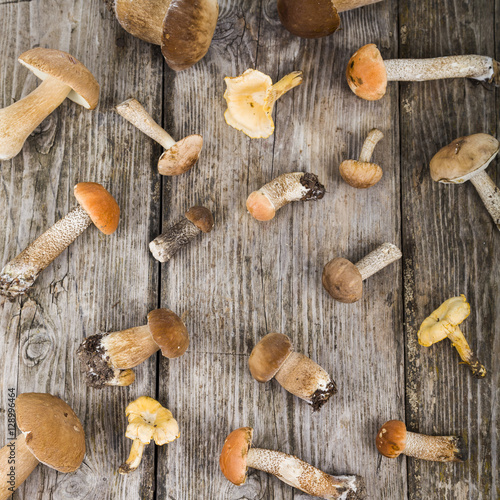 Raw mushrooms on a wooden table. Boletus edulis and chanterelles